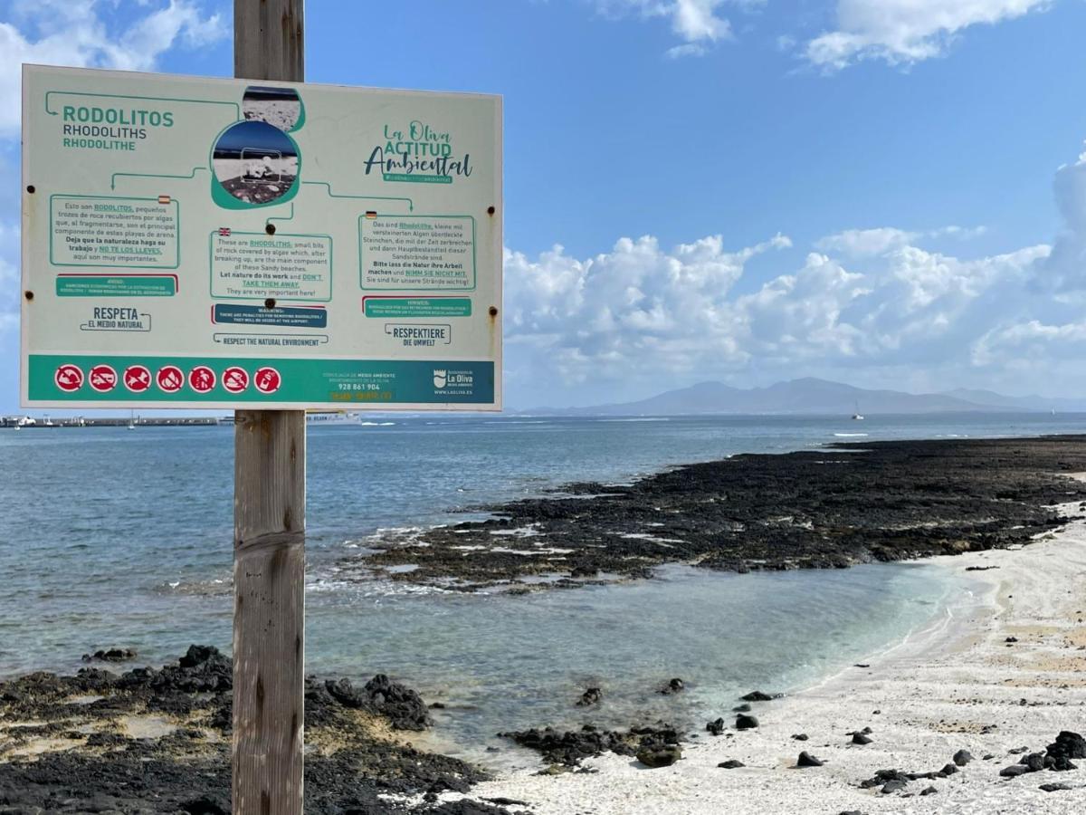 Eco House Golfinhos Leilighet Corralejo Eksteriør bilde