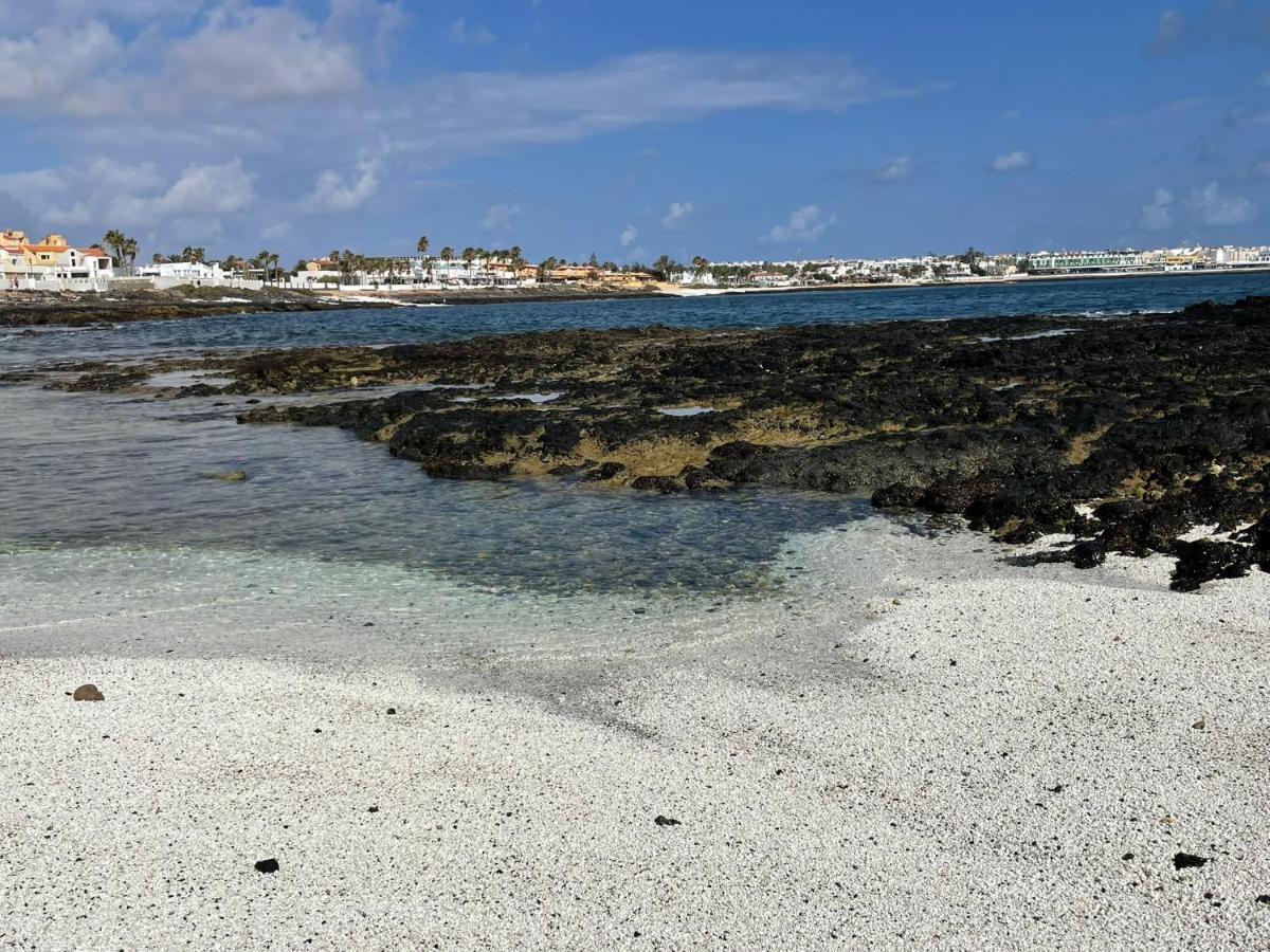Eco House Golfinhos Leilighet Corralejo Eksteriør bilde
